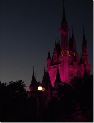 Walt Disney World Castle Lit Up